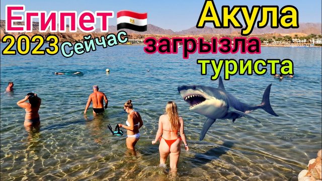 Акула Съела Туриста В Египте Ужас На Курорте Хургада Как Это Случилось Что С Акулой Новости