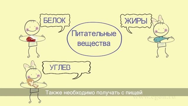 Урок здоровья.mp4