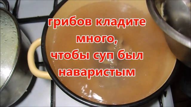 Как сварить грибной суп из свежих грибов