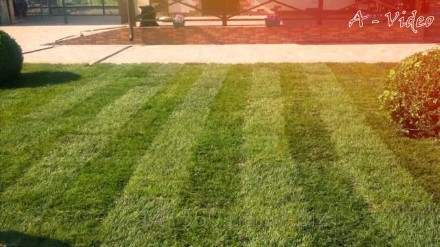 ?Творческие идеи для частного двора / Creative garden ideas / A - Video