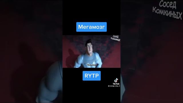 Мегамозг rytp