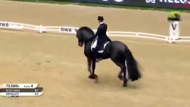 Фриз. Выездка