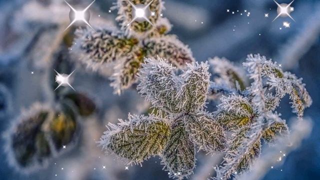 Зимнее поздравление с днём рождения женщине✨С днем Рождения/Зимние поздравления с Днём рождения