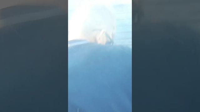 2489468455464.mp4