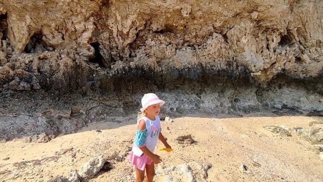 обитатели красного моря экскурсия по морскому дну на красном море морские звезды жуки морские ежи