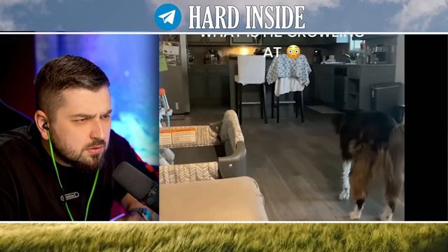Перезалив. HARD PLAY РЕАКЦИЯ НА 10 Самых Страшных Видео в Мире   Новая Подборка #9