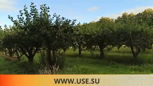 Райские сады