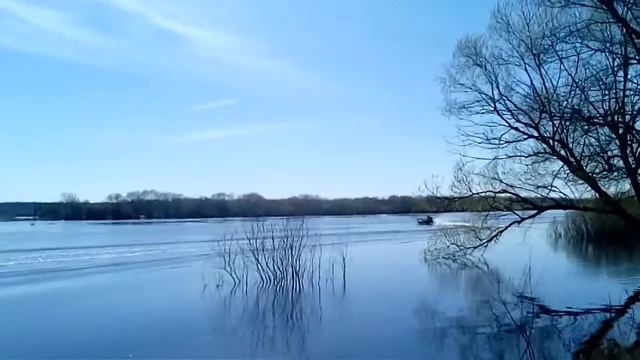 Лодка Афалина 315 и Тохатсу 9.8