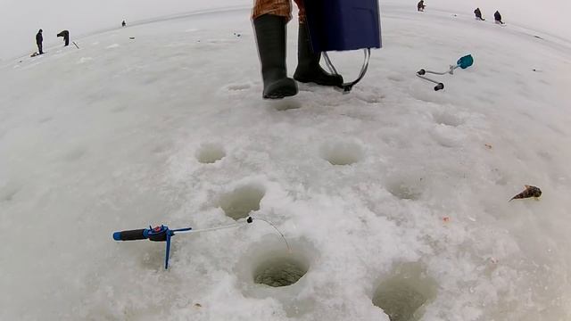 ЛОВЛЯ РОТАНА. ЛОВЛЯ КРУПНОГО РОТАНА ЗИМОЙ. Рыбалка 2019 с АРТУРЫЧЕМ \ РОТАН