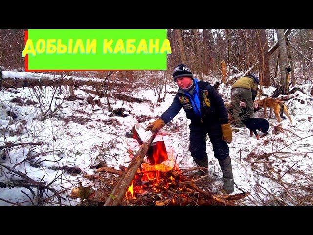 ОХОТА НА КАБАНА В ТАЙГЕ ДАЛЬНЕГО ВОСТОКА.