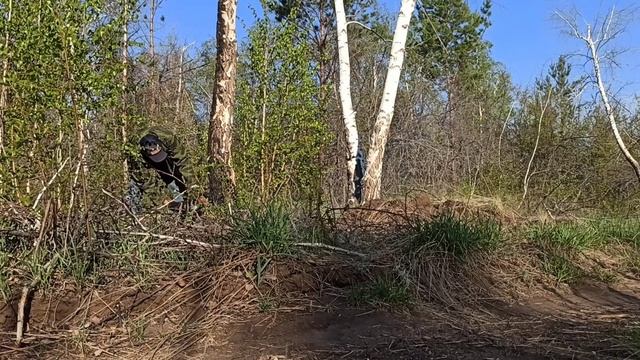 БензоПила Парма-Практик БП 062/18                                 #бензопила#парма#