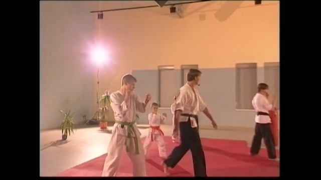 Каратэ для начинающих
