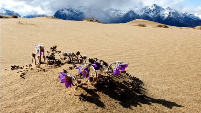 Чарские пески, самая северная пустыня в мире