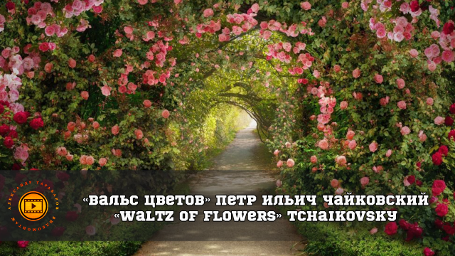 «Вальс цветов». Петр Ильич Чайковский.