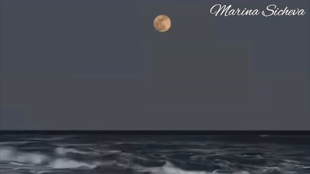 Марина Сычева - Новелла (Claudio Merli)