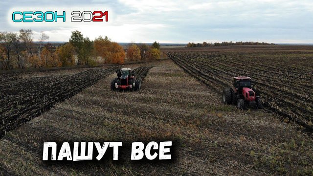 Чизелим подсолнечник на РСМ 2375, МТЗ 2022 и МТЗ 1221