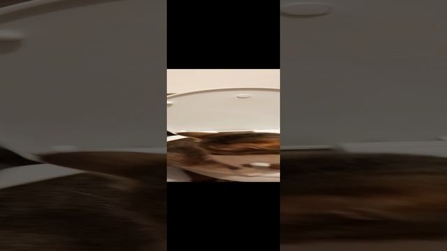 20231201_190756.mp4
