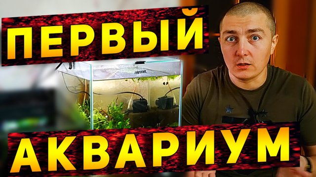 Первый АКВАРИУМ! С чего начать!