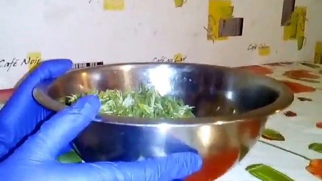 Варенье из молодых побегов сосны и шишек.