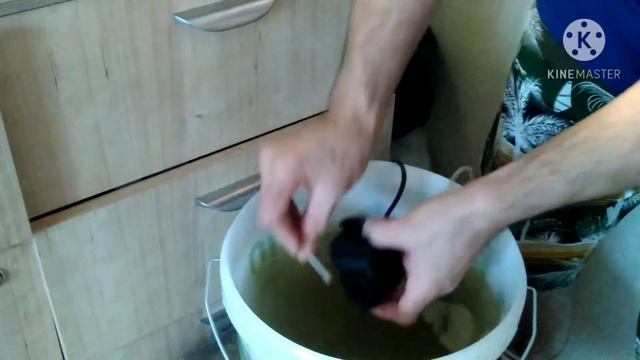 Как почистить фильтр в аквариуме правильно