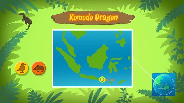 Komodo Dragon - Leo The Wildlife Ranger Animal Diaries | Animal Facts for Kids