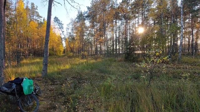 Озеро Большое Зеленодольское и вдали Озеро Малое Зеленодольское. Полигон Каменка. Заходское.