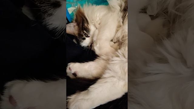 Что такое счастье?