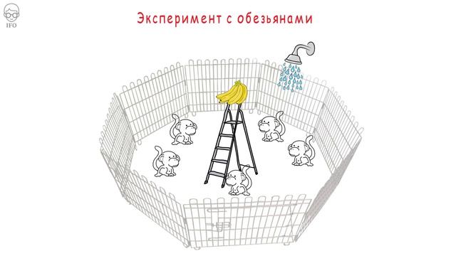 Формирование Общества. Как Формируется Общественное Мнение