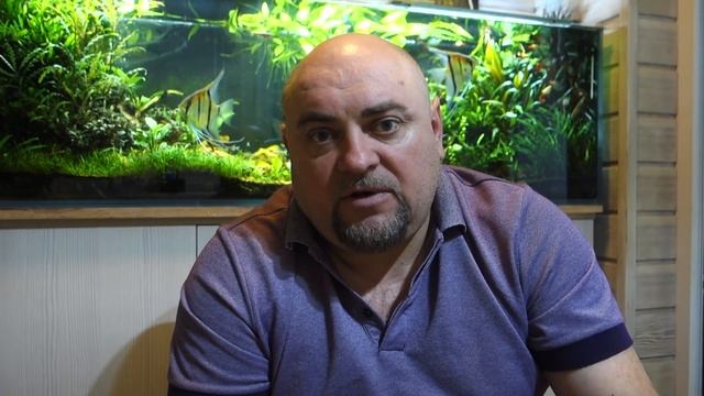 #aquascape #Акваскейпинг. #Аквадизайн. #Акваскейп. Сколько стоит мечта?