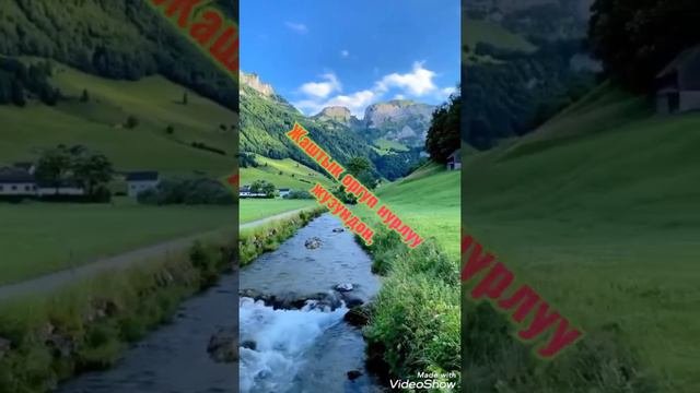 Алтынай Нарбаева
Алгачкы суйуу