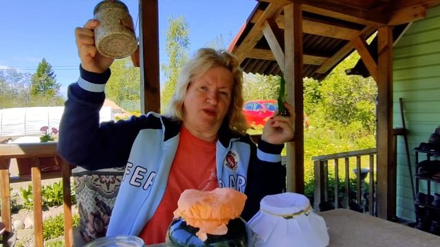 Триходерма Вериде. Боремся с вредителями. Выращиваем грибок САМИ !