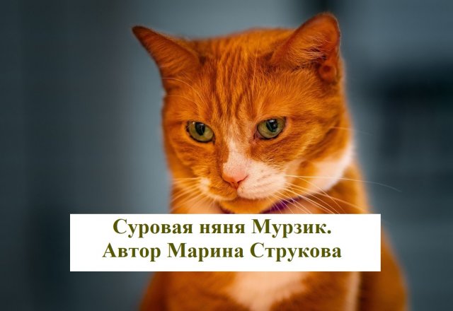 Суровая няня Мурзик. Автор Марина Струкова. Читает Александр Водяной.