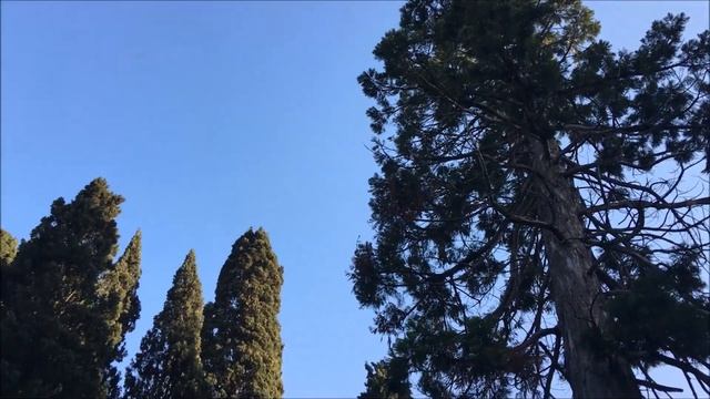 Санаторий Кирова  Ялта - KIROV