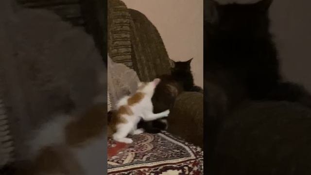 7745349958976881599