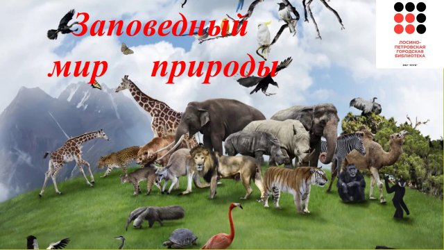 Заповедный мир природы. Экологический видеоурок к Международному дню животных