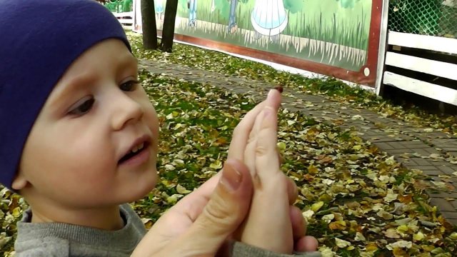 Влог. Парк развлечений для детей. Макс катается на аттракционах.