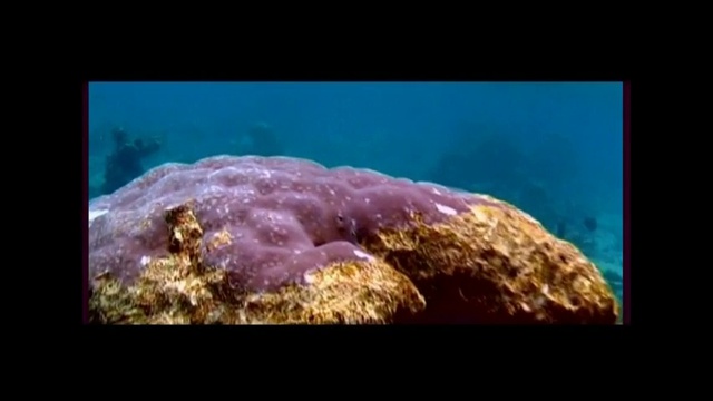 video relax