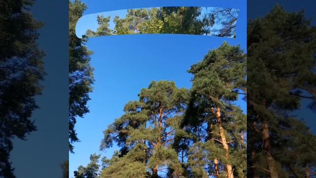 video20240815_090559.mp4