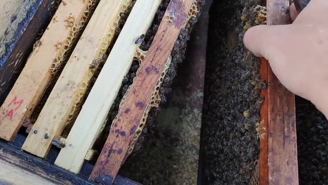 УЛЕЙ ЛЕЖАК подробно о расширении лежака вощиной🐝🐝🐝