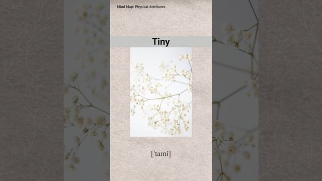 Tiny_RU-EN
