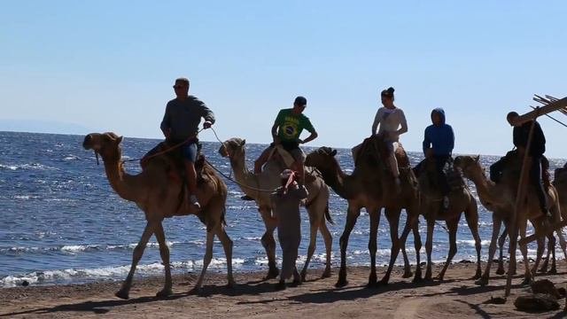 Время приключений в Египте / Adventure time in Egypt