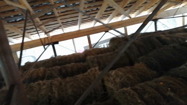 Сеновал, вместимость, и как там на сеновале.