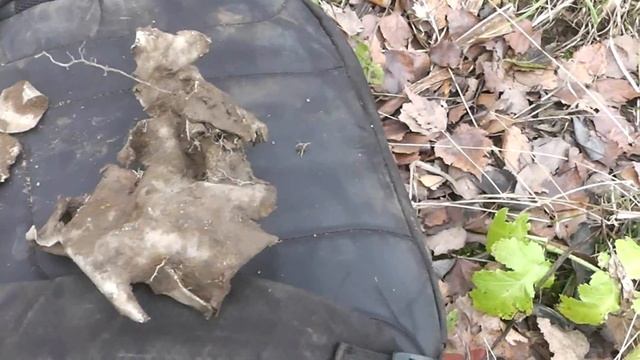 Магнит и коп