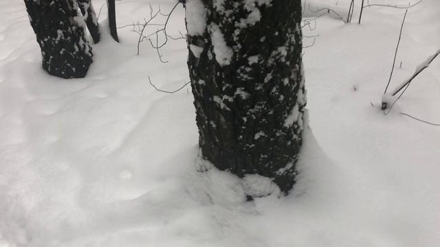 Магия Снега. Помощь Матушки Природы.