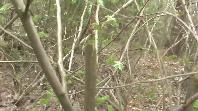 Кавказская шашка и кинжал Мастера "ИЗ"