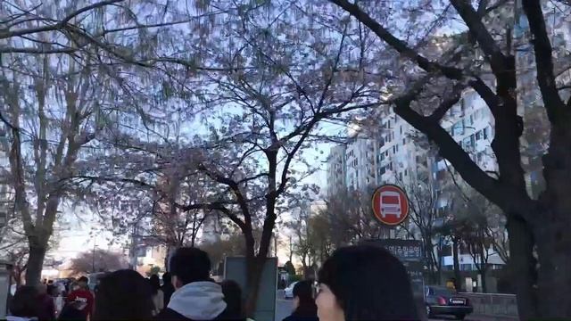 ЧТО НУЖНО ЗНАТЬ, ПОСМОТРЕТЬ В СЕУЛ - ЮЖНАЯ КОРЕЯ