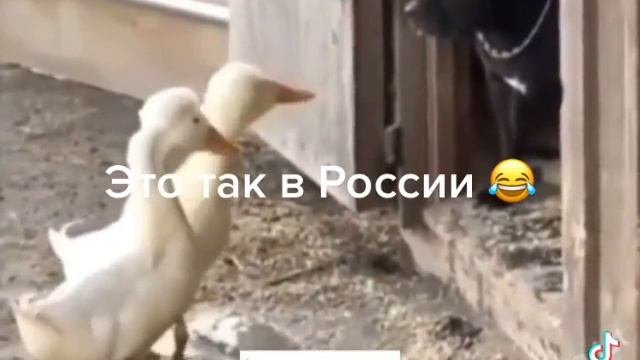 Налоги