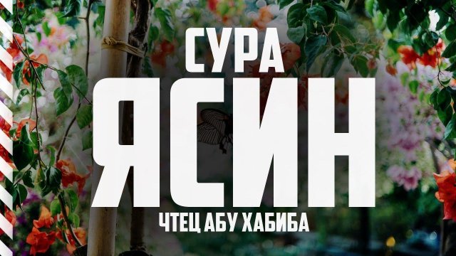 Сура 36 Ясин. Коран на каждый день