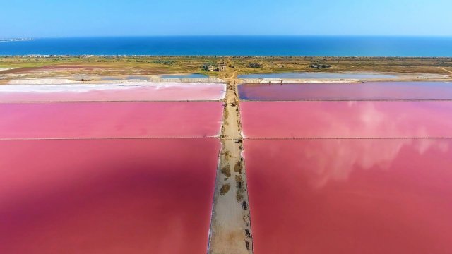 Огромное Розовое озеро в России | Почему оно имеет такой цвет?