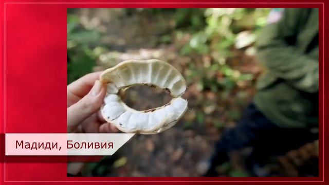 Самые экстремальные и опасные места планеты | 10 самых опаснейших и захватывающих мест мира